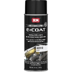 SEM Ez Coat&trade; - 16oz Aerosol Can - Black