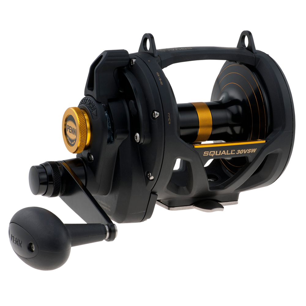 PENN SQL30VSW Squall® Lever Drag 2 Speed Conventional Reel