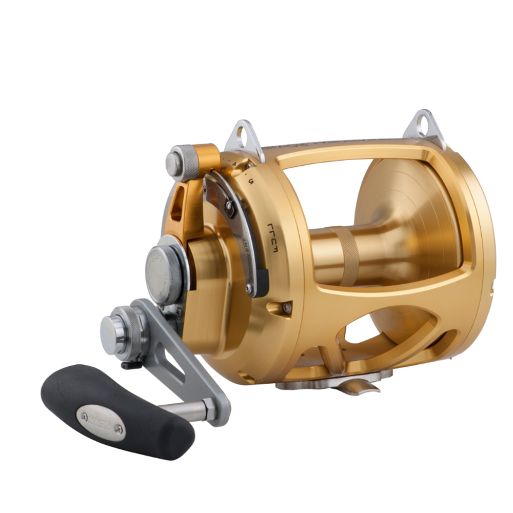 PENN International 80 VISW INT80VISW 2-Speed Conventional Reel - Gold